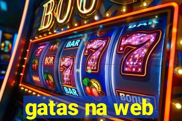 gatas na web